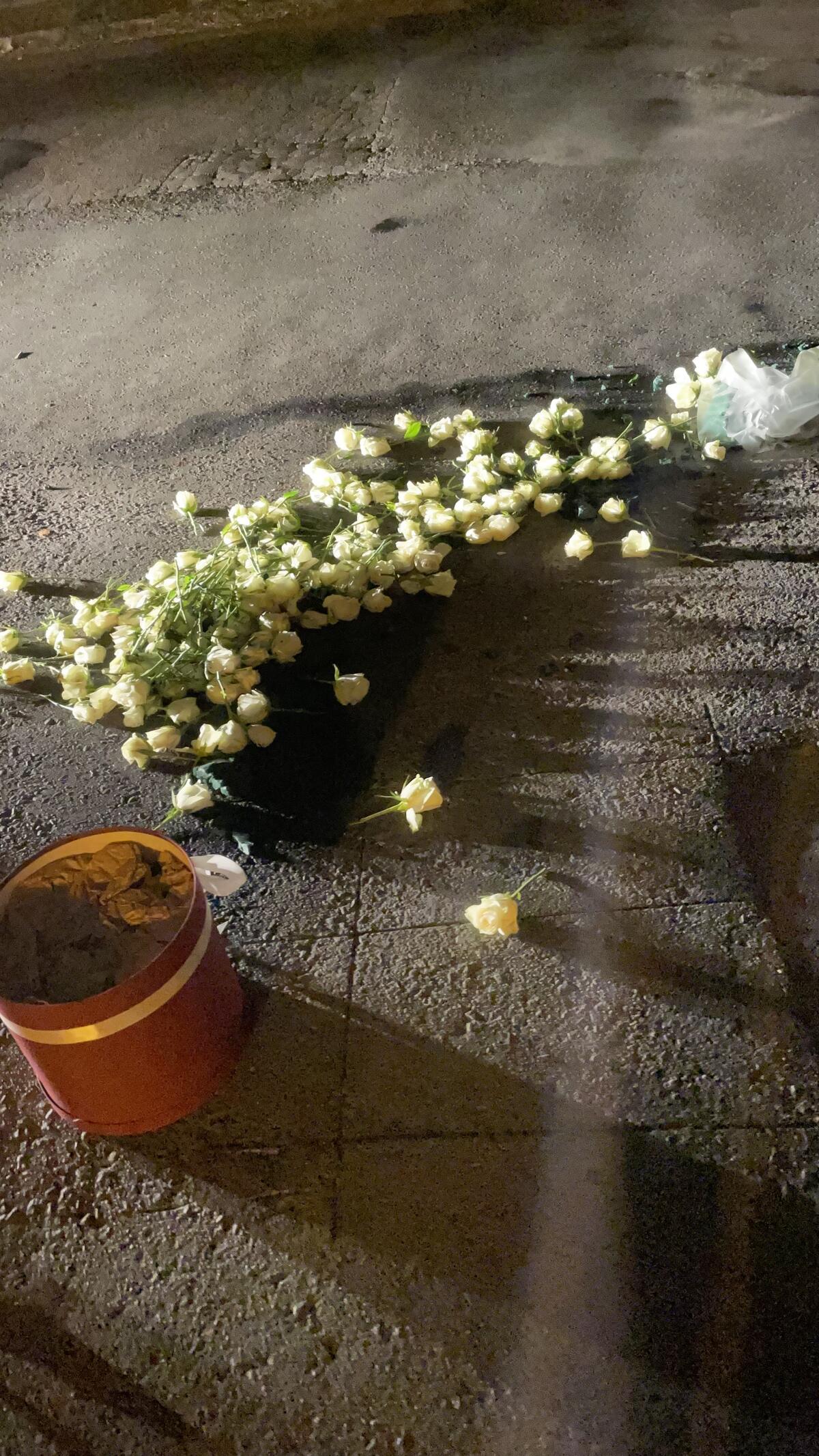 white_roses_spread_on_the_ground